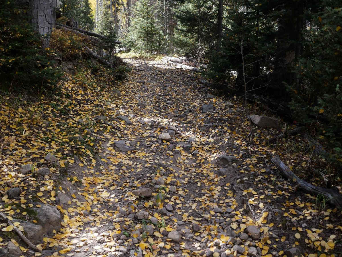 B Spur trail photo