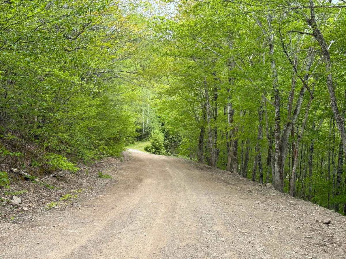 Pipers Glen Road photo 3