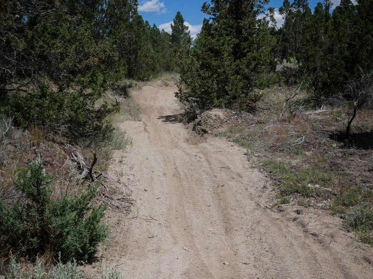 U Trail trail photo