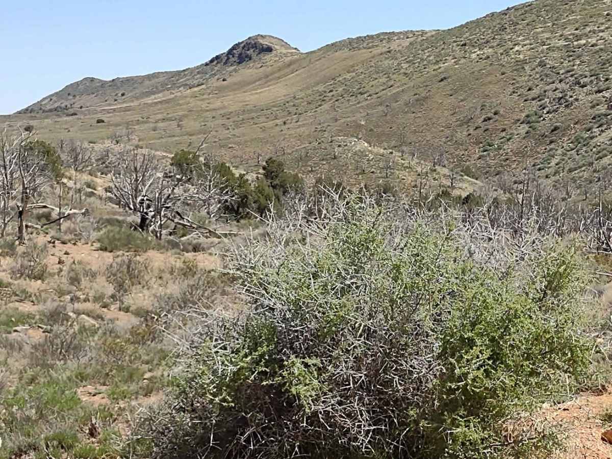 Motoqua - DI Ranch to Jackson Wash Cut-Across photo 5