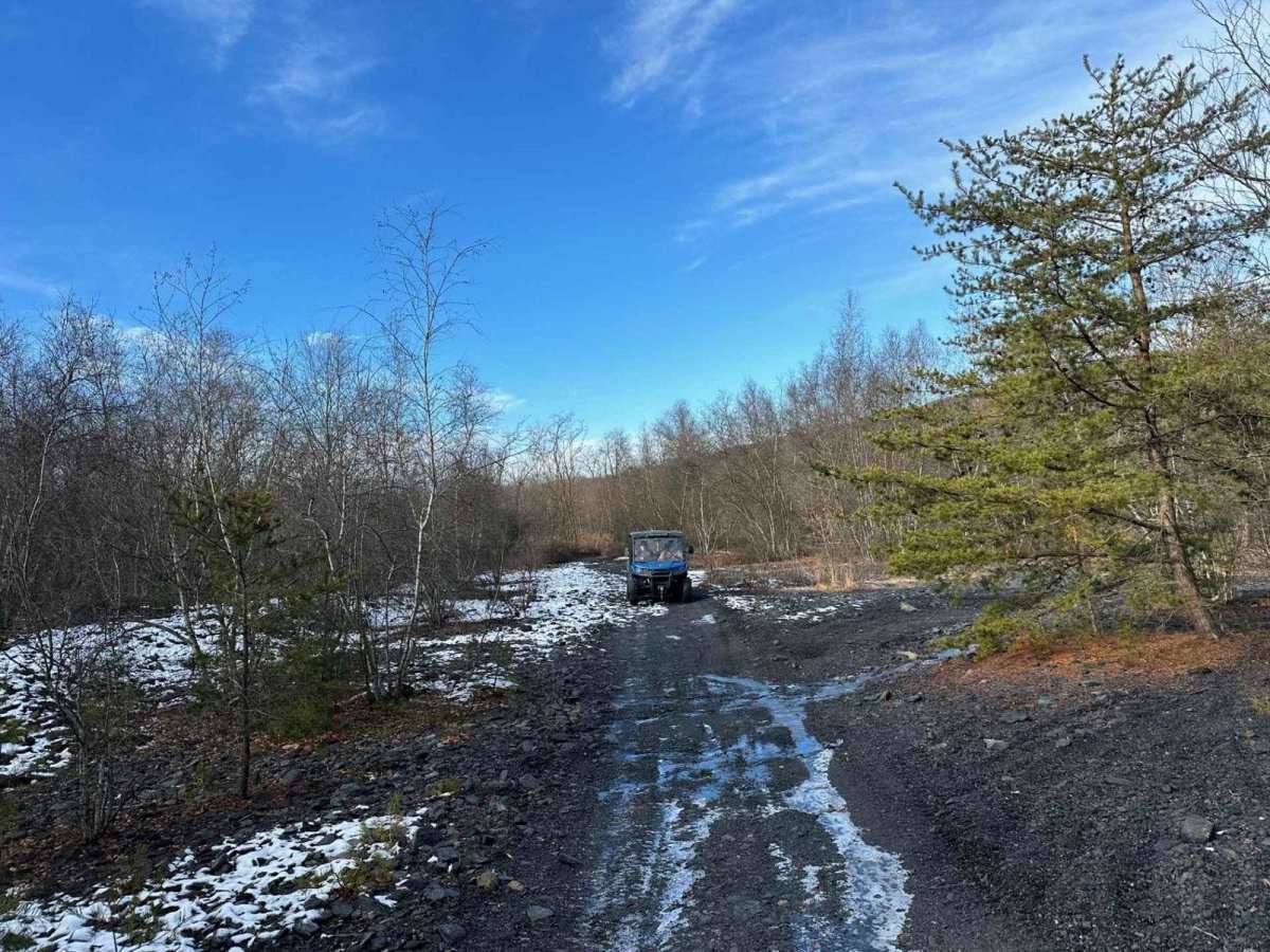 Locust Gap 3 photo 5