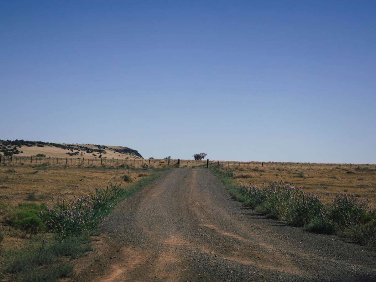 AZT Connect trail photo