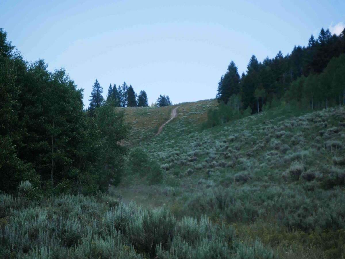 Cold Springs ATV Loop #5208  photo 3