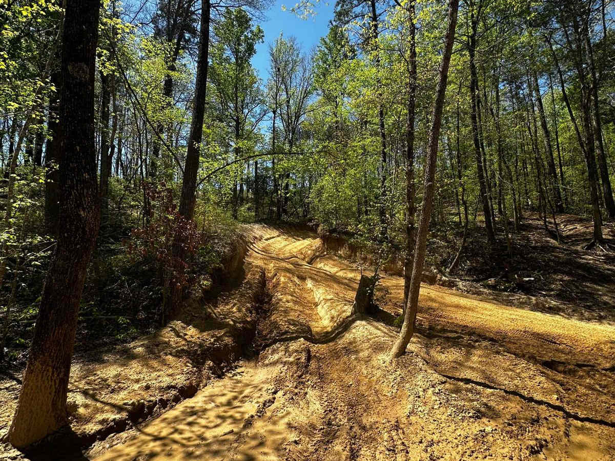 Trail 4 photo 5
