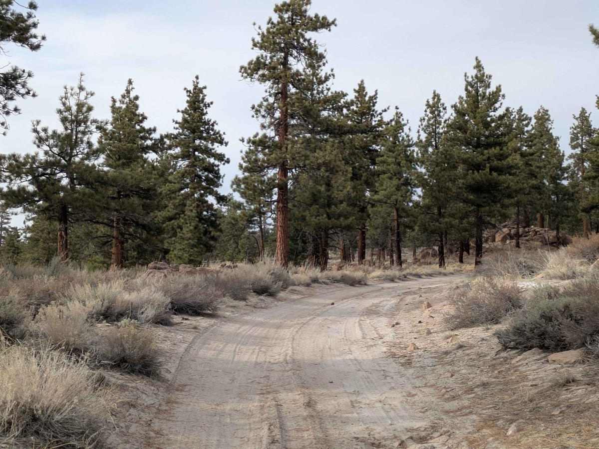 Sheep Camp Road - FS4S03 photo 6
