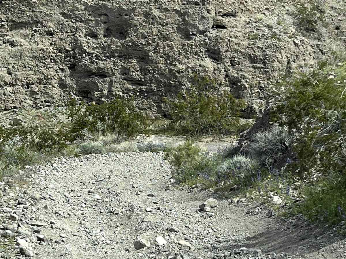 AZ Peace Trail Segment Lake Havasu to Kingman photo 2