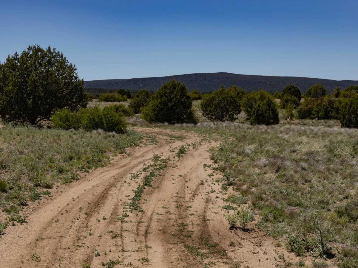 Javelina Camp photo 6