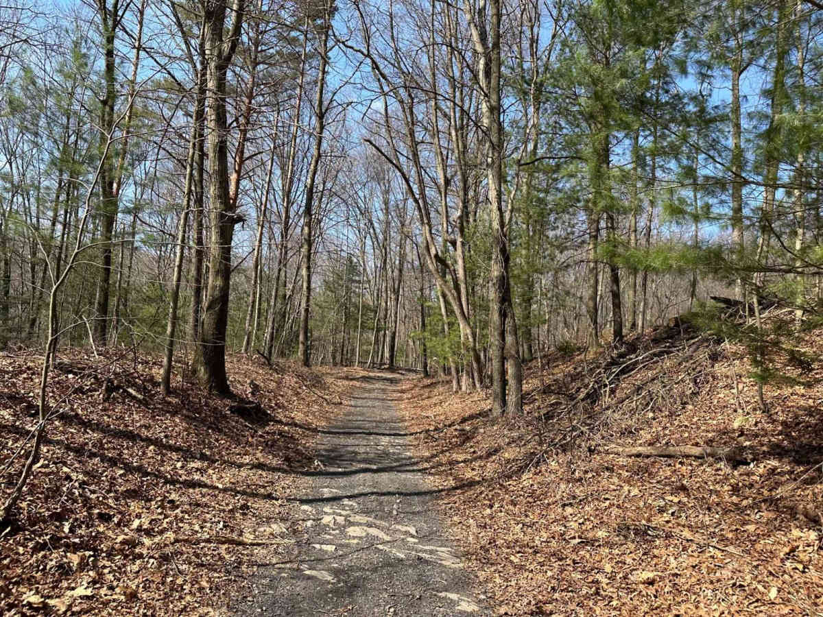 Ashland 103 photo 3