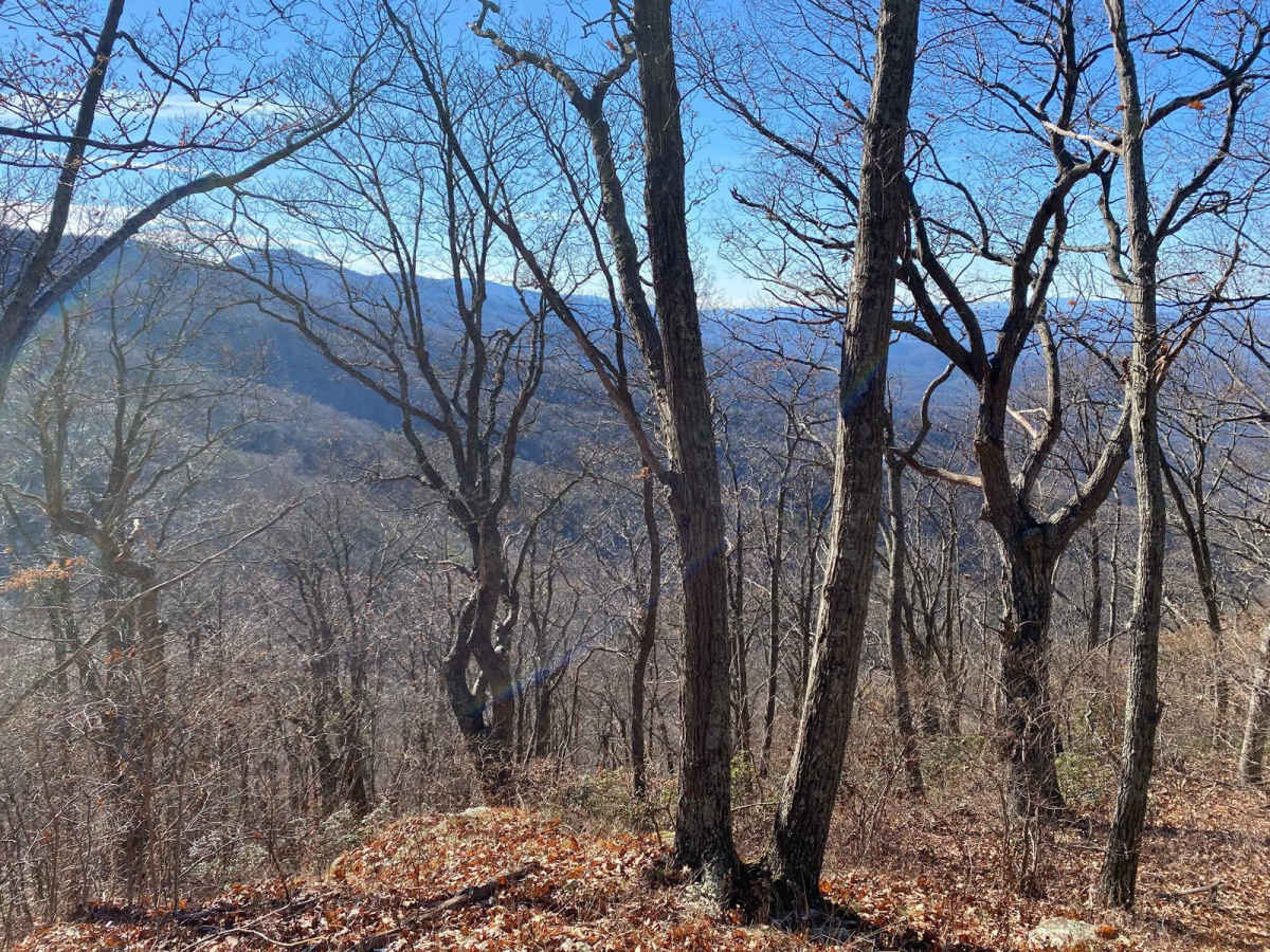 FSR 72 Long Run Road photo 3