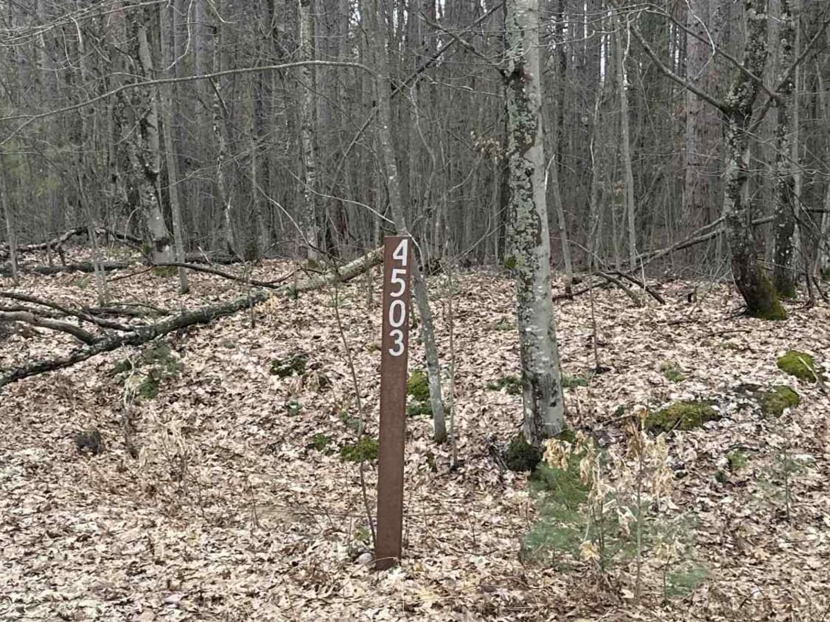 FS 4503 trail photo
