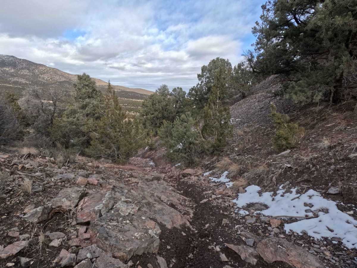 511 trail photo