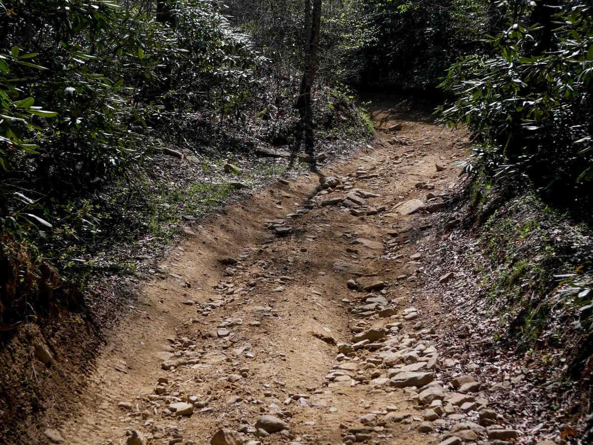 P28 trail photo