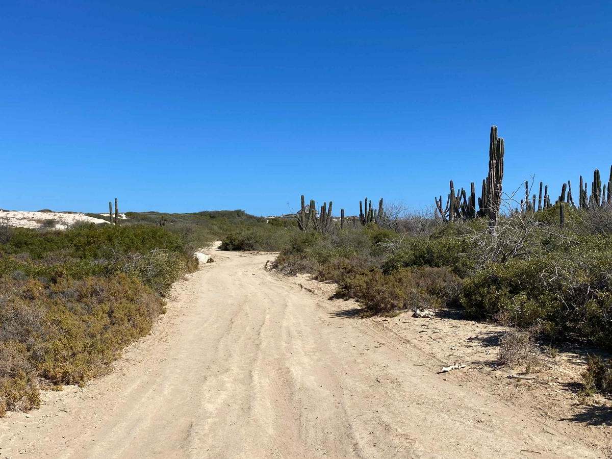 Ventus East trail photo