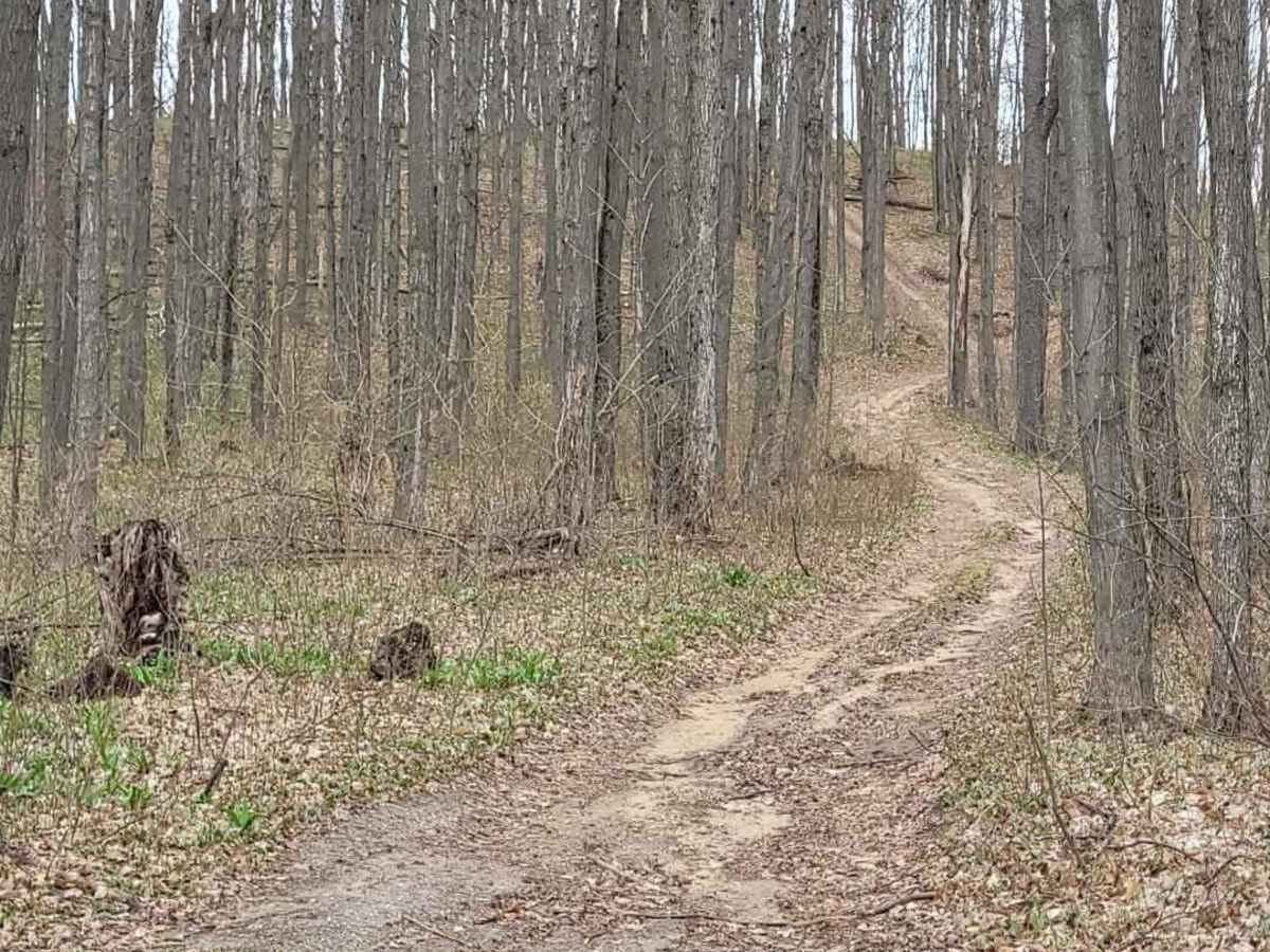 FR 5735 trail photo