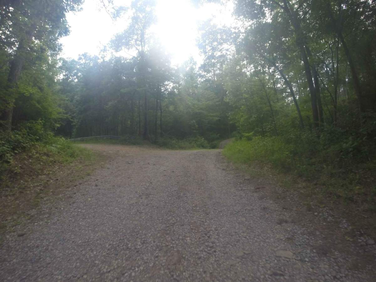 Manning Mill Road - Forest Road 227 photo 4