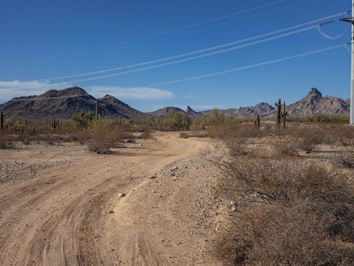 24080 Trail photo 4