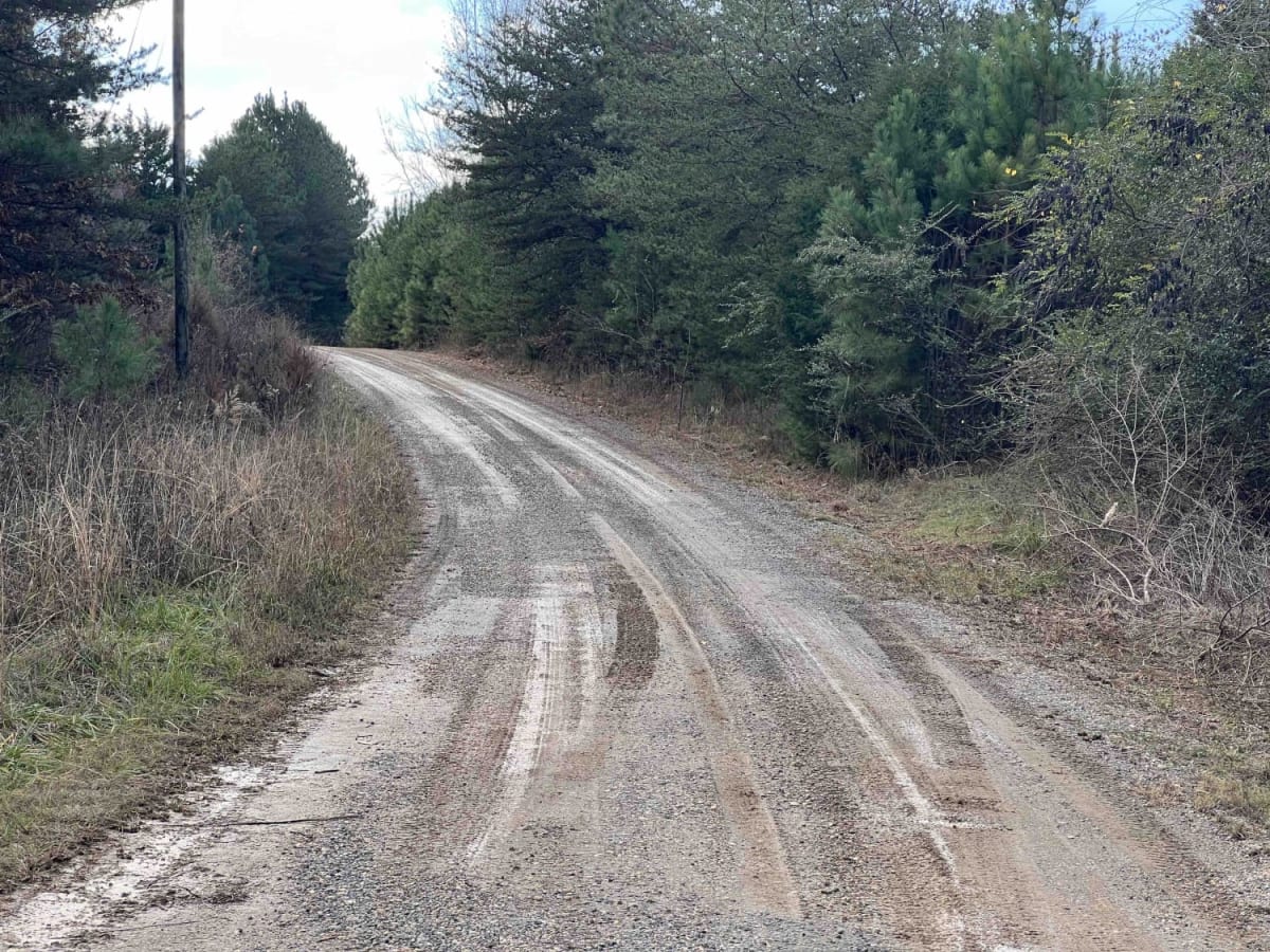 CR339 photo 5