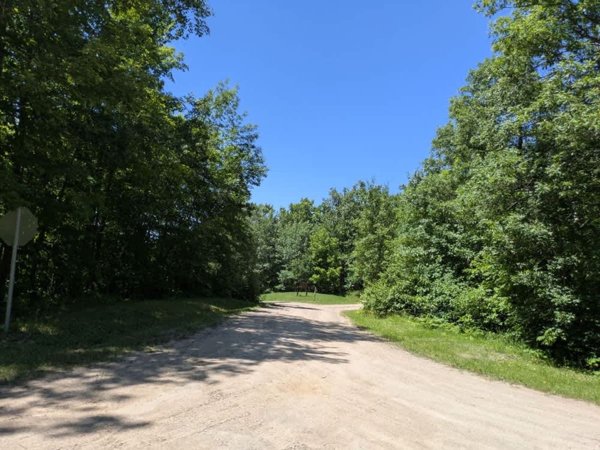 Woodtick Auto Route - FS 2107 photo 3