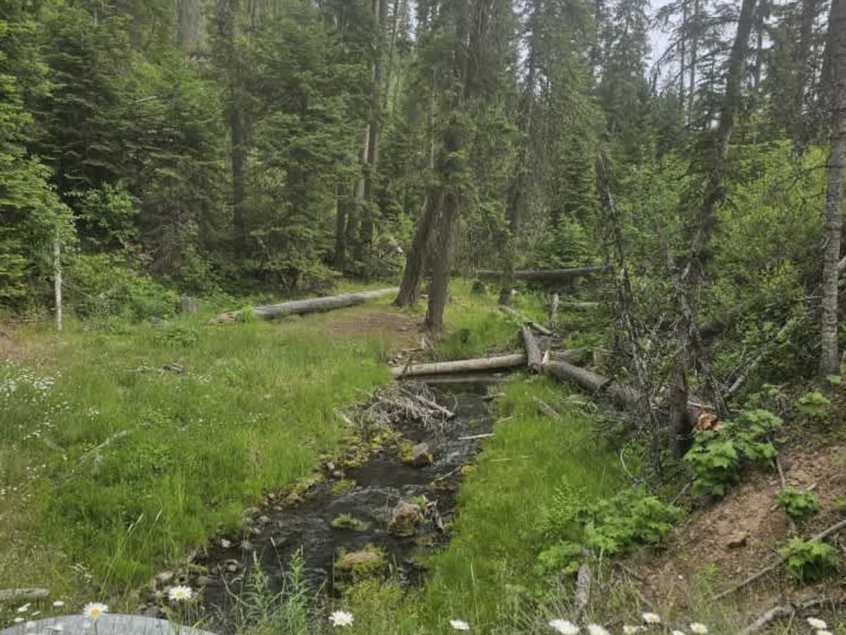 Pataha Cable Road photo 3