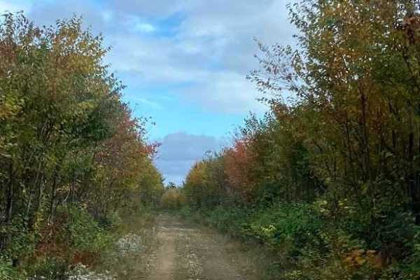North Highland Road