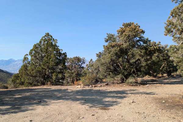 Grandview Mine Road - 7S129