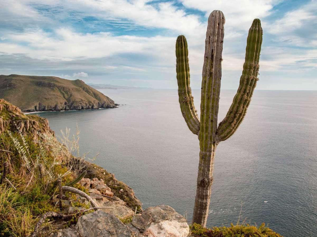 Puerto Viejo trail photo
