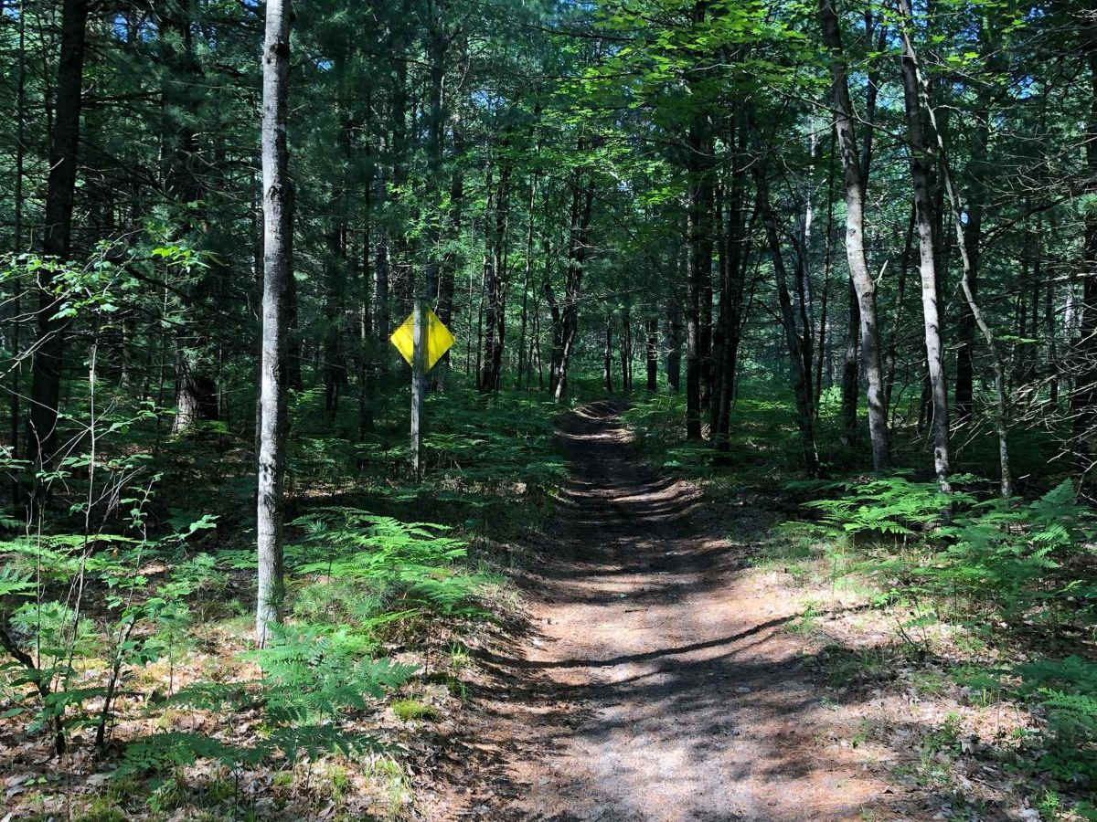North Missaukee Trail - 14478 & 14167 photo 3