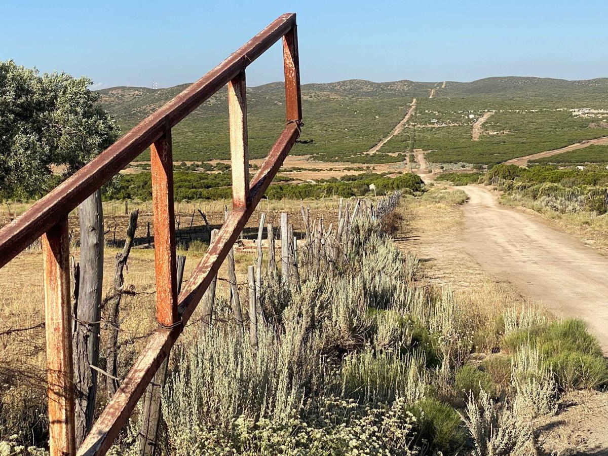 Mesa Colorado to El Hongo trail photo