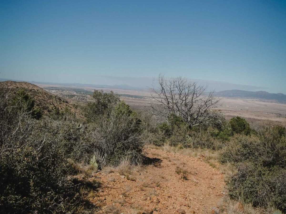 Charcoal Gulch photo 6
