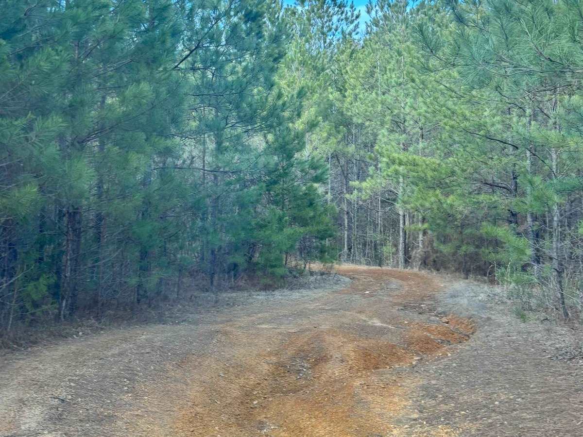 407C trail photo