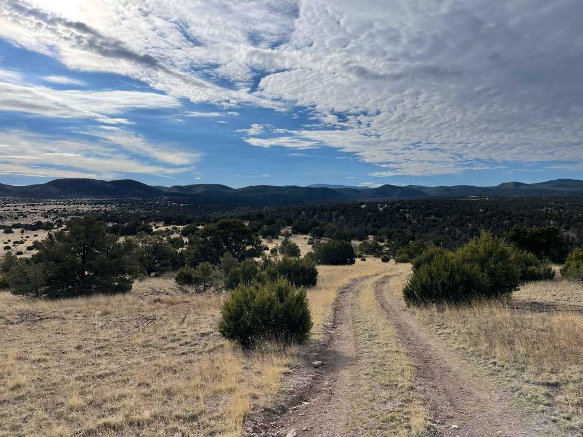 Cibola Overlook photo 2