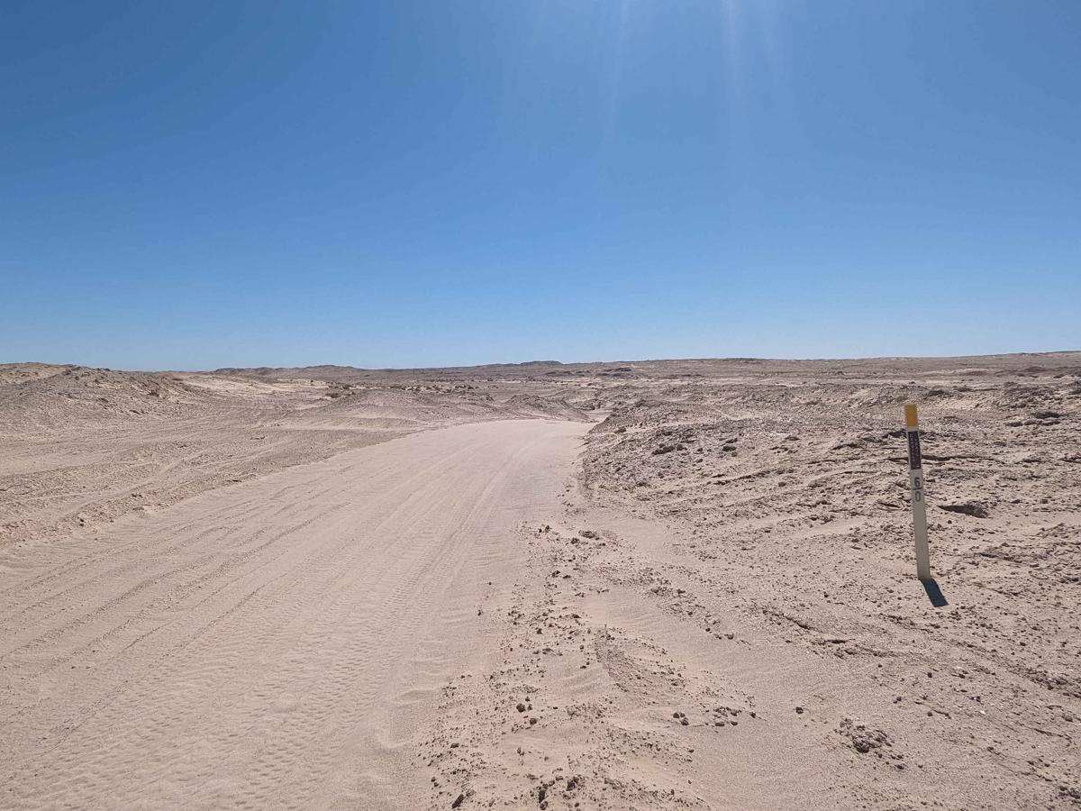 Ocotillo Wells photo 3