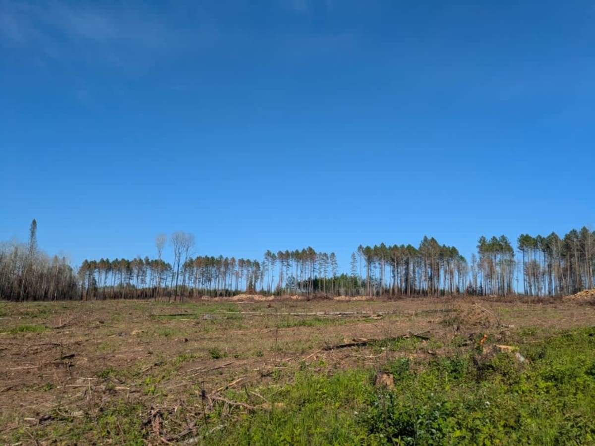 Langley West Road photo 4