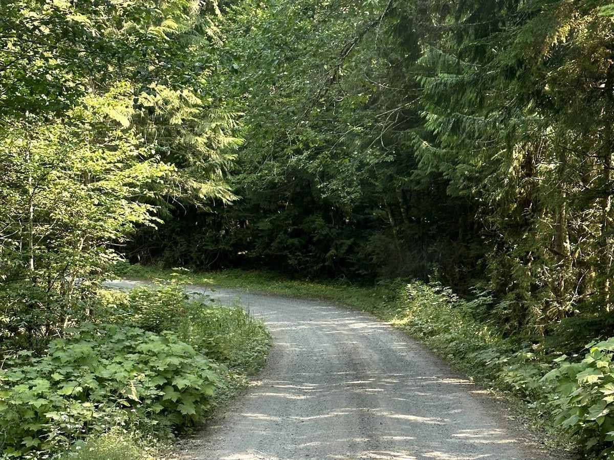 Nooksack River Trail photo 2