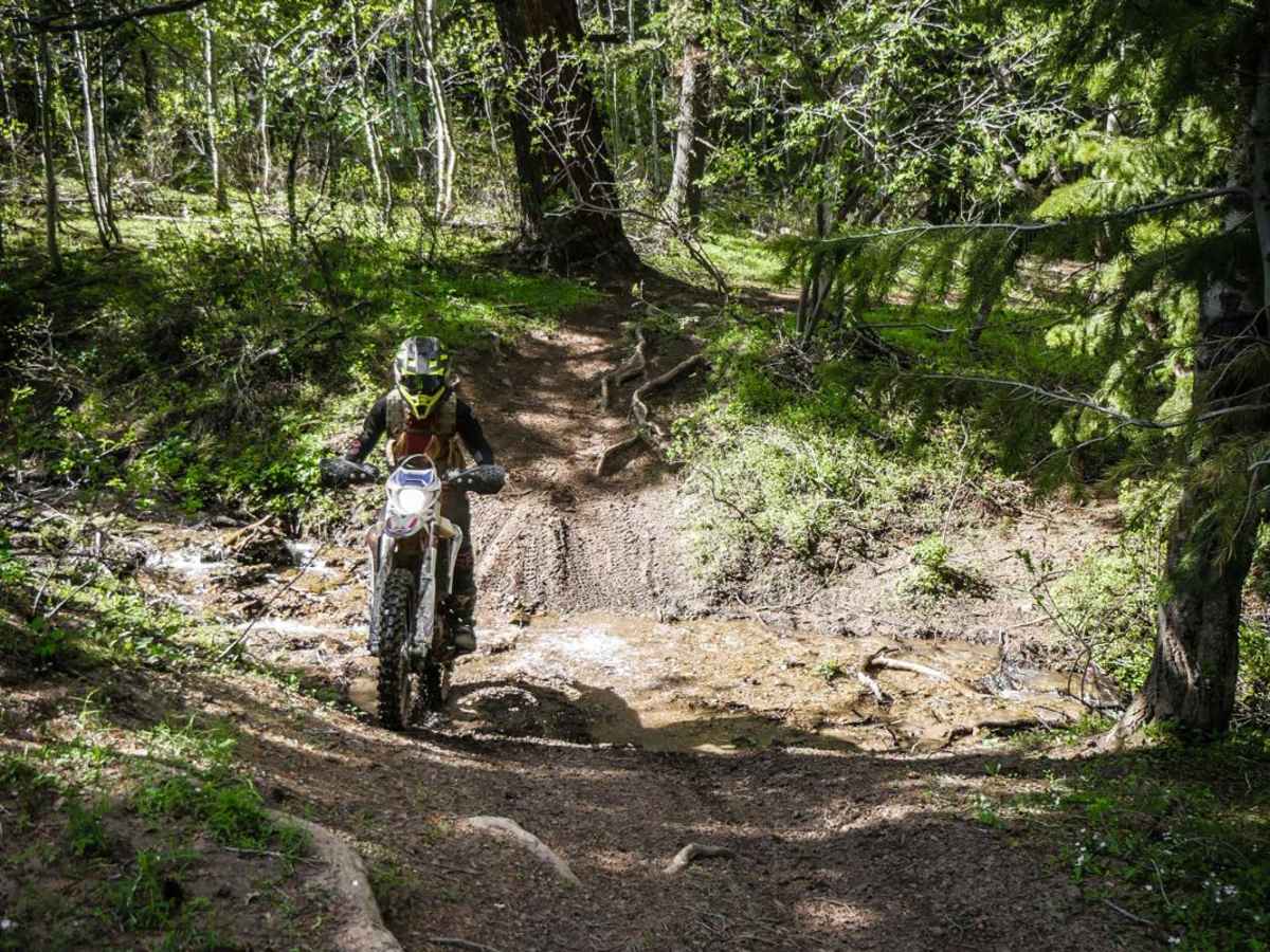Clifton Basin to Weston Peak Single Track - 7433 photo 6