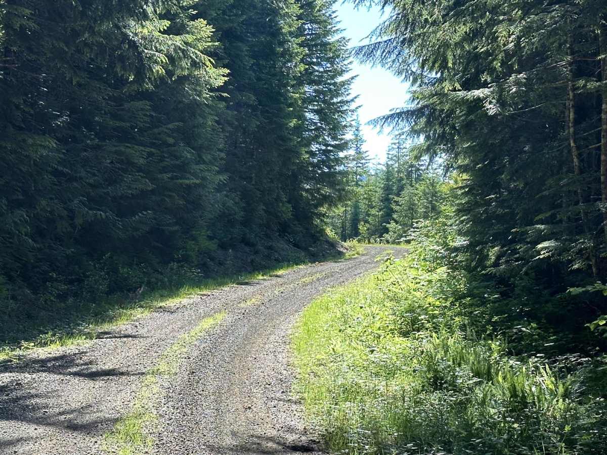 Church Creek Area Trail photo 2