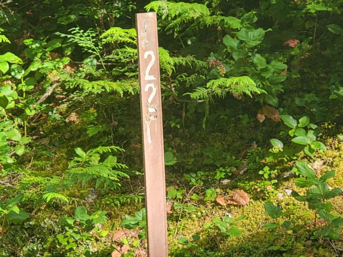 Basin photo 3
