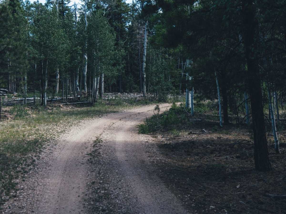 FR 641 photo 5