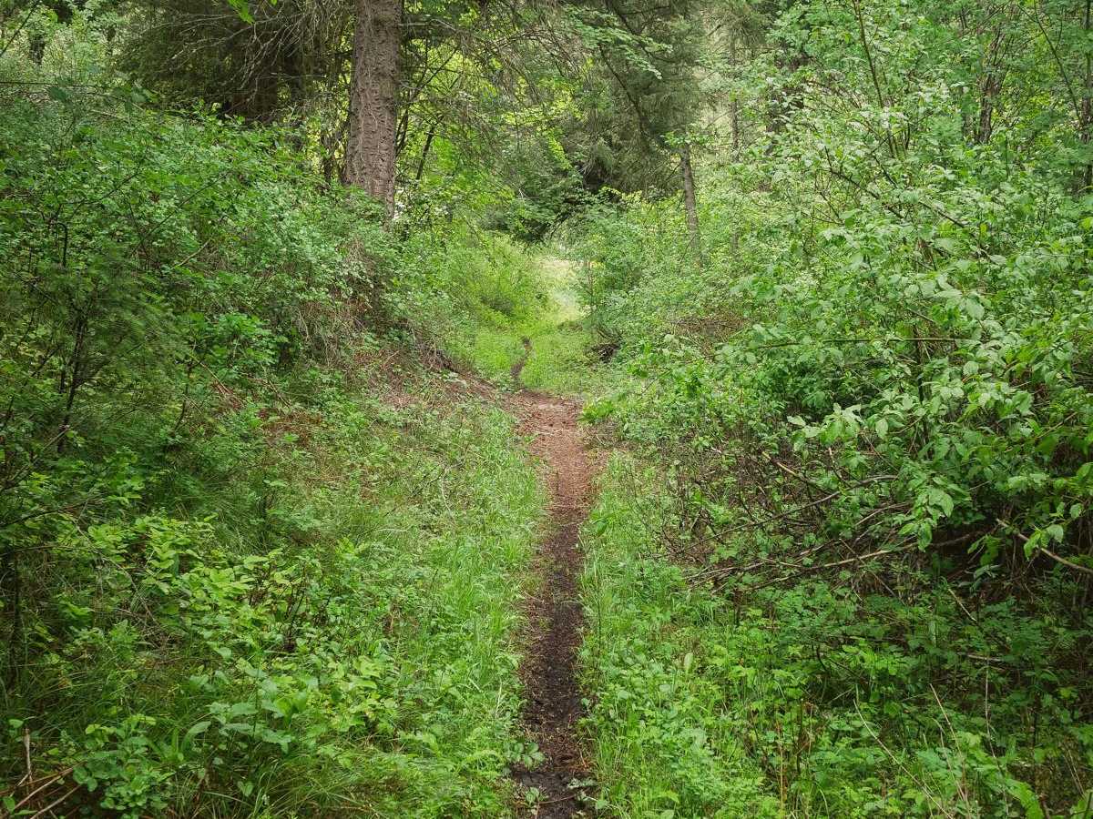 Powder Gulch photo 2