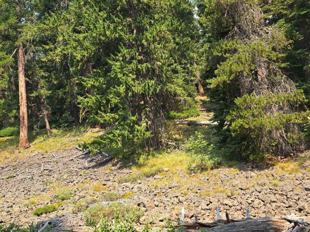 Lost Lake photo 6