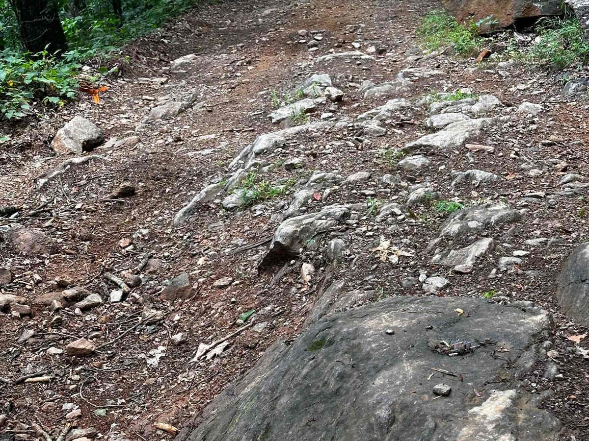 Horseshoe Ridge photo 6