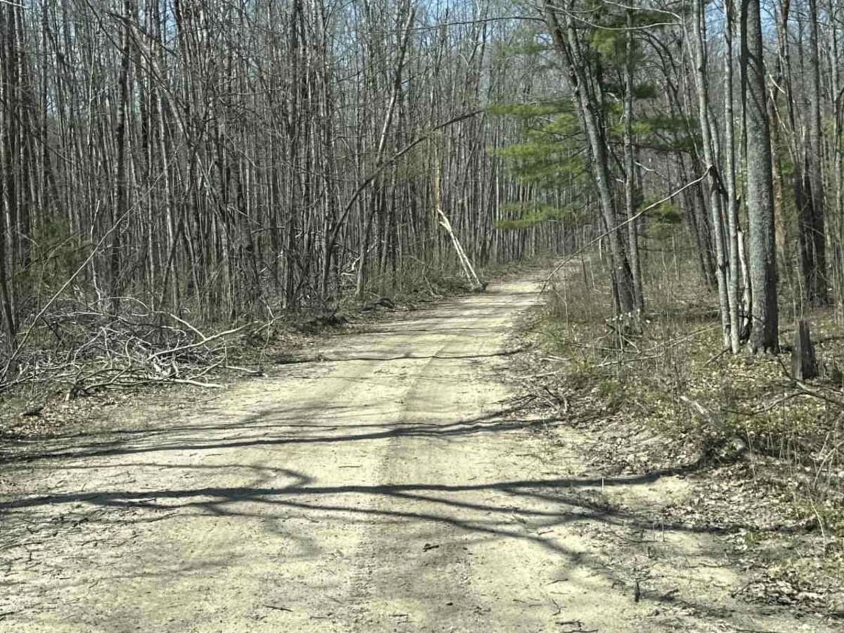 FS 4119 photo 4
