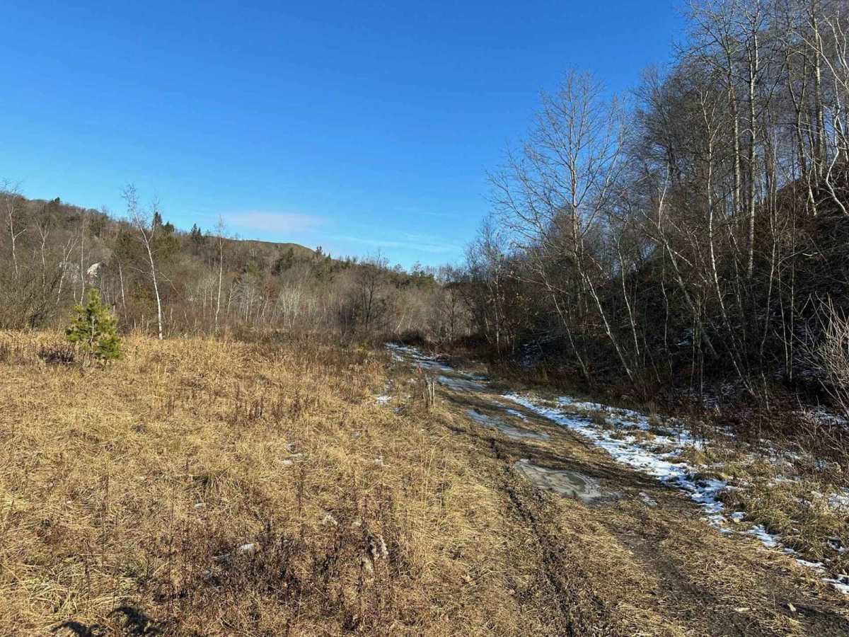 Locust Gap 61 trail photo