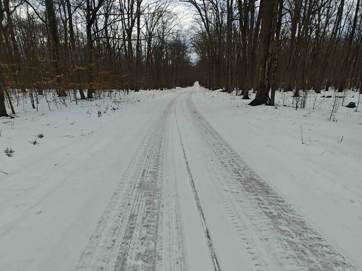 Dispersed Camping Road - FSR 259 photo 2