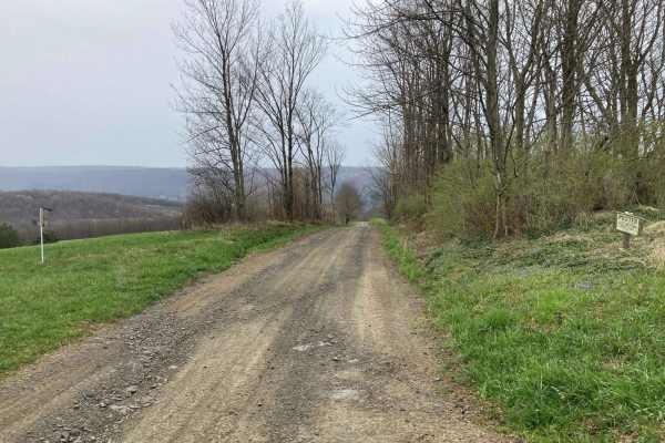 Cuyler Hill Road