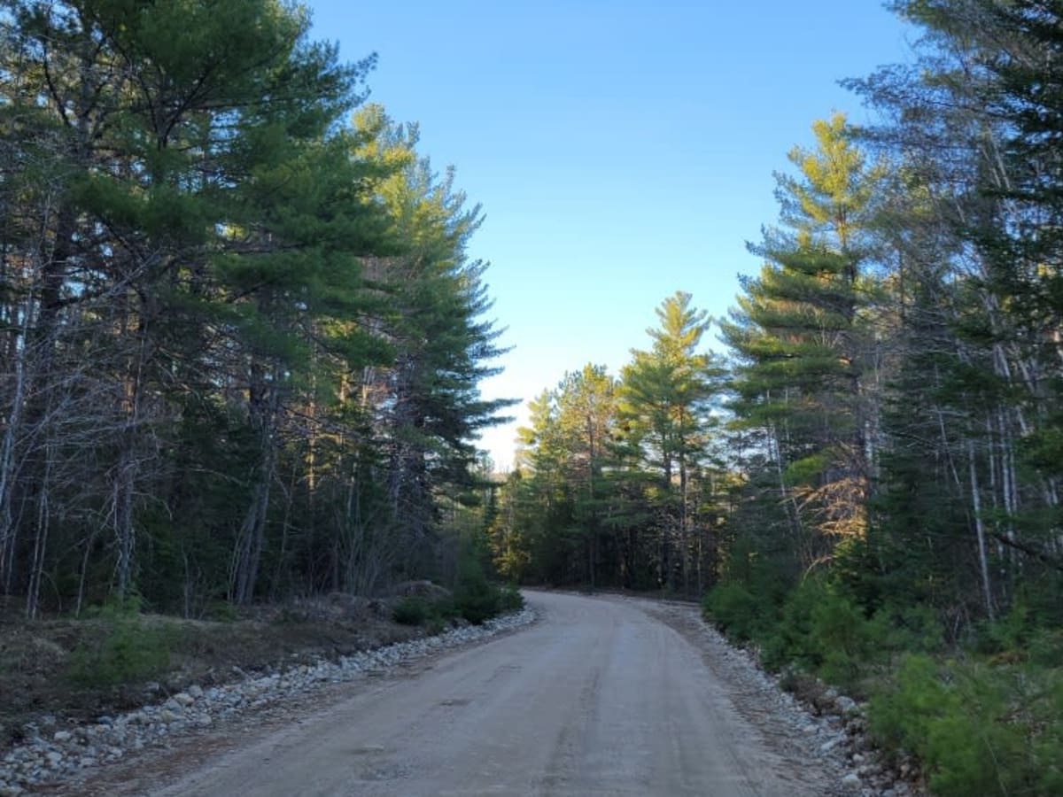 Oxhead Lakes Trail photo 2