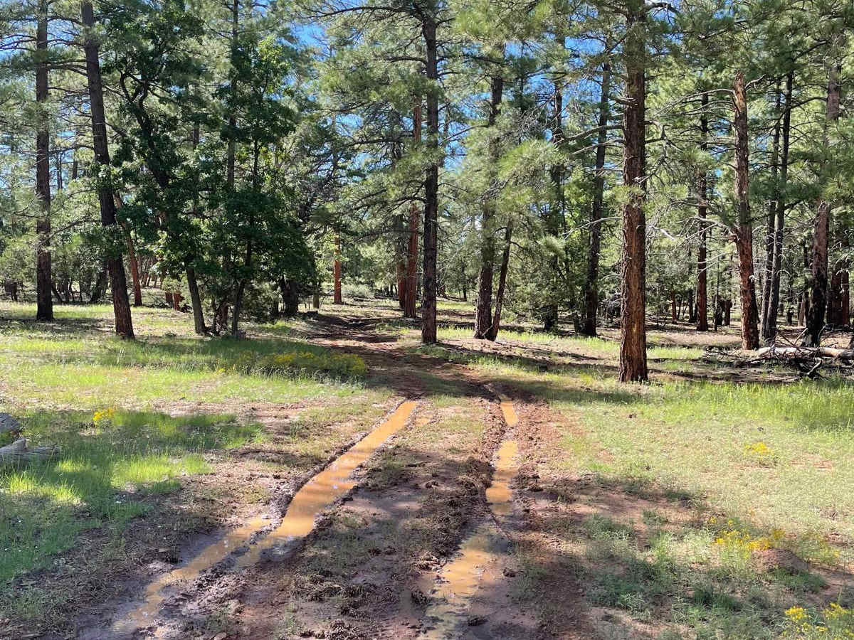 Schnebly Hill Radio Towers trail photo