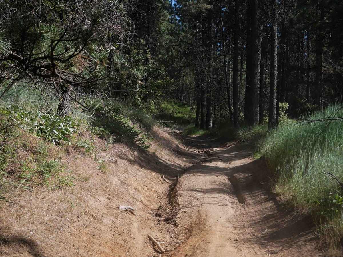 Easy Going trail photo