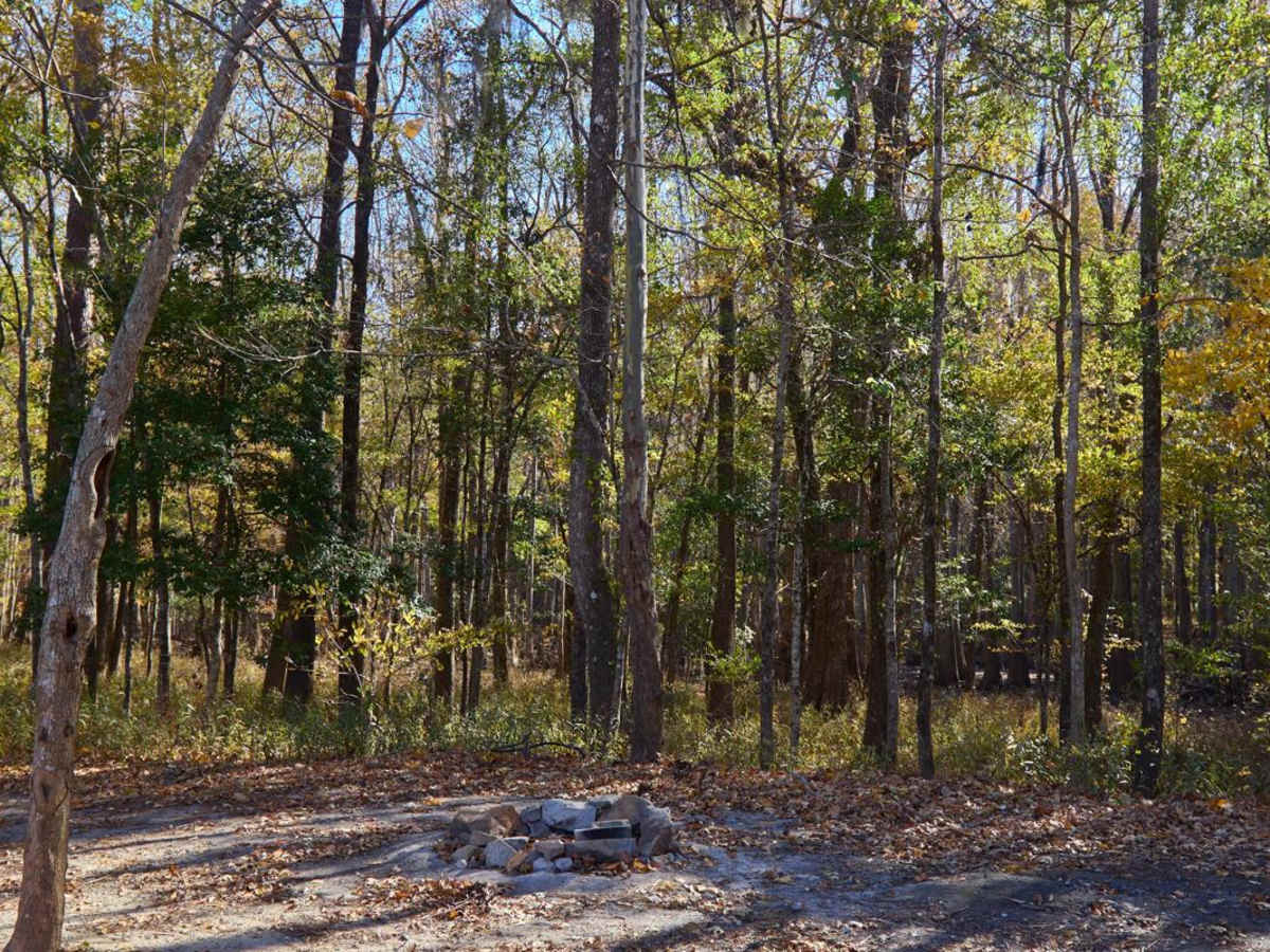 McConnell Landing - FSR 204F photo 5