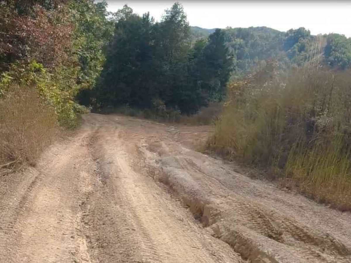 Martiki Trail photo 5
